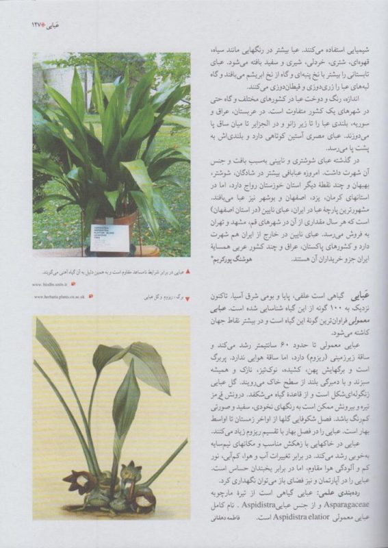 WhatsApp-Image-2019-03-13-at-2.12.39-PM2-567x800 جلد هجدهم فرهنگنامۀ كودكان و نوجوانان منتشر شد