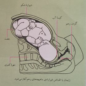 20200504_145415-280x280 زایمان 20200504_145415-280x280 زایمان