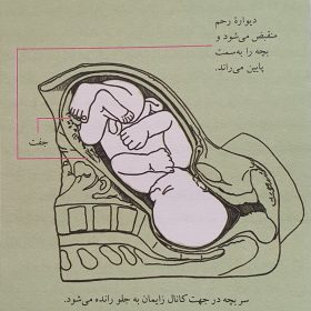 20200504_145446-280x280 زایمان 20200504_145446-280x280 زایمان