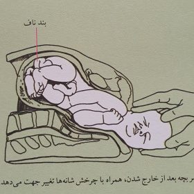 20200504_145518-280x280 زایمان 20200504_145518-280x280 زایمان